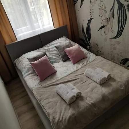 Sunny Boat * Łódź